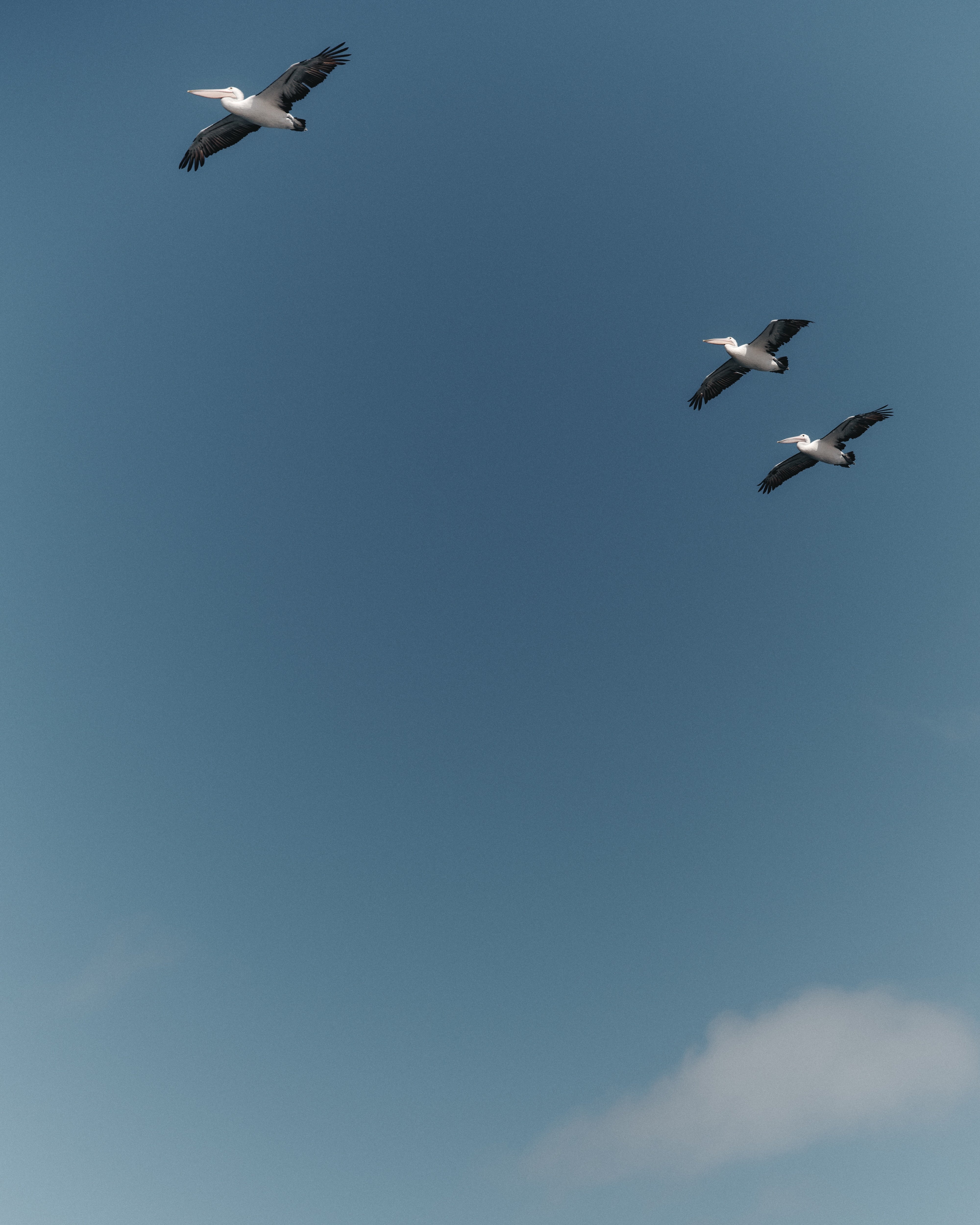 test blog 2
